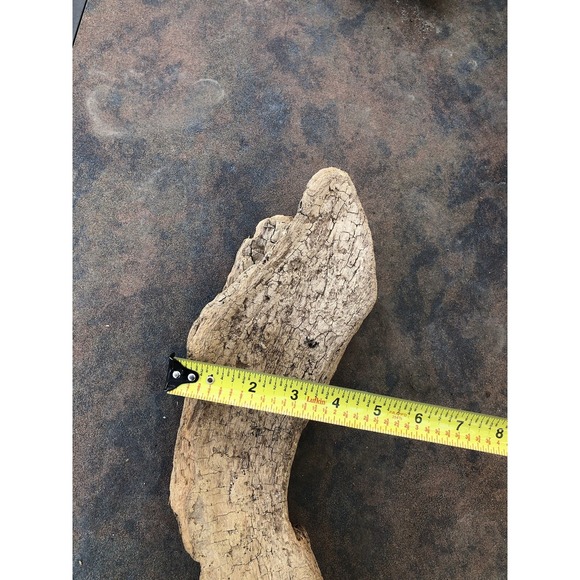 Natural Driftwood for Plants Terrarium Taxidermy Art Projects - Picture 6 of 6